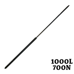 AC-SP-GS-L1000-N700